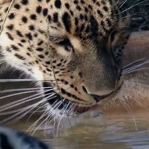 Meet your Posher, Kaden